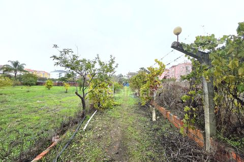 Helårsgrund i Entroncamento, Santarem, Entroncamento - € 690.000 | Ref: 056380 - foto 15