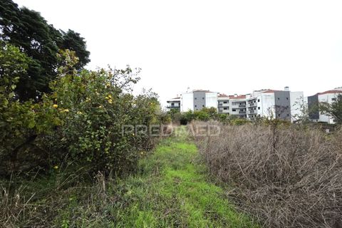 Helårsgrund i Entroncamento, Santarem, Entroncamento - € 690.000 | Ref: 056380 - foto 17