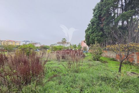 Helårsgrund i Entroncamento, Santarem, Entroncamento - € 690.000 | Ref: 056380 - foto 18