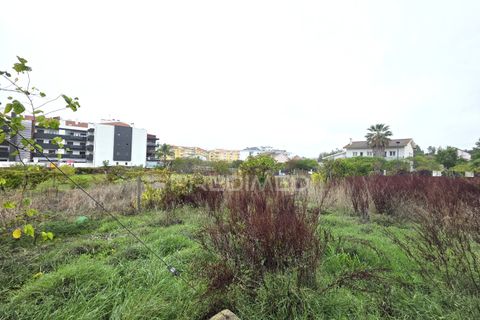 Helårsgrund i Entroncamento, Santarem, Entroncamento - € 690.000 | Ref: 056380 - foto 19