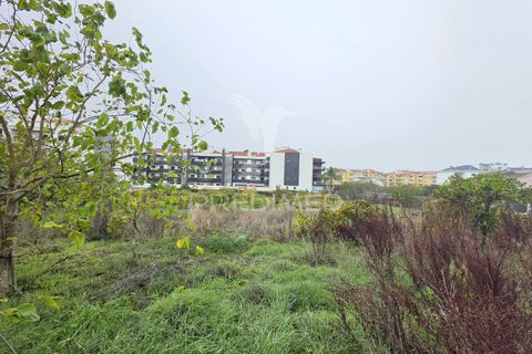Helårsgrund i Entroncamento, Santarem, Entroncamento - € 690.000 | Ref: 056380 - foto 20