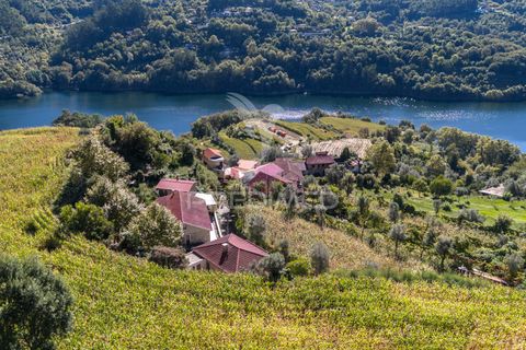 Byhus i Terras de Bouro, Braga, Terras de Bouro - € 305.000 | Ref: 056429 - foto 5