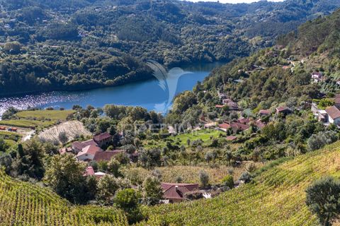 Byhus i Terras de Bouro, Braga, Terras de Bouro - € 305.000 | Ref: 056429 - foto 8