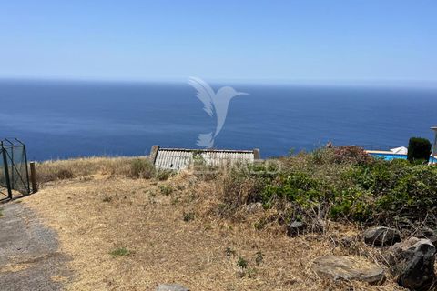 Helårsgrund i Calheta, Madeira, Calheta - € 1.350.000 | Ref: 056447 - foto 6