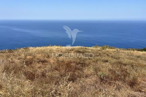 Helårsgrund i Calheta, Madeira, Calheta - € 1.350.000 | Ref: 056447 - foto 7
