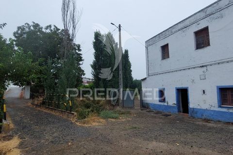 Erhvervsejendom i Beja, Beja, Beja - € 97.500 | Ref: 056568 - foto 3