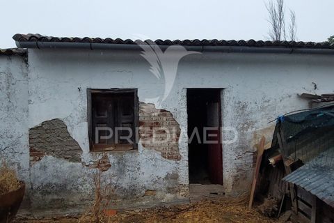 Erhvervsejendom i Beja, Beja, Beja - € 97.500 | Ref: 056568 - foto 12