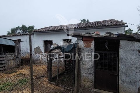 Erhvervsejendom i Beja, Beja, Beja - € 97.500 | Ref: 056568 - foto 14