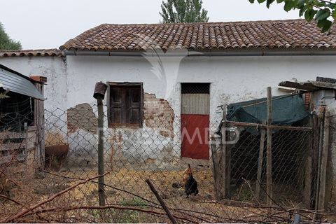 Erhvervsejendom i Beja, Beja, Beja - € 97.500 | Ref: 056568 - foto 15
