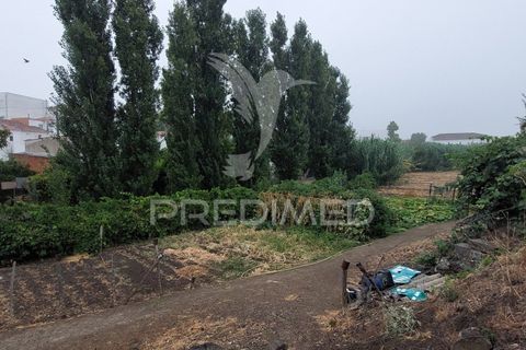 Erhvervsejendom i Beja, Beja, Beja - € 97.500 | Ref: 056568 - foto 16