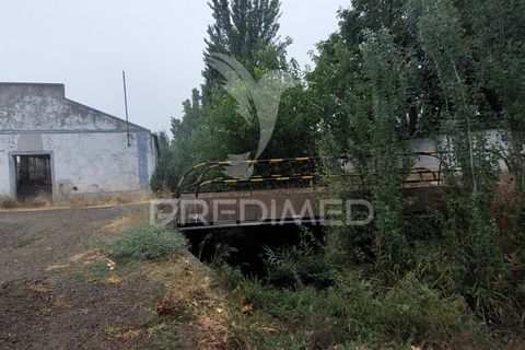 Erhvervsejendom i Beja, Beja, Beja - € 97.500 | Ref: 056568 - foto 19