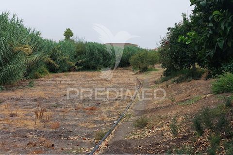 Erhvervsejendom i Beja, Beja, Beja - € 97.500 | Ref: 056568 - foto 20