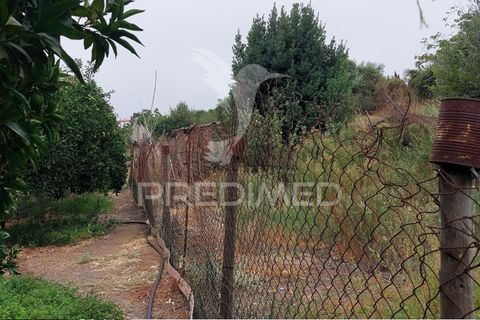 Erhvervsejendom i Beja, Beja, Beja - € 97.500 | Ref: 056568 - foto 21