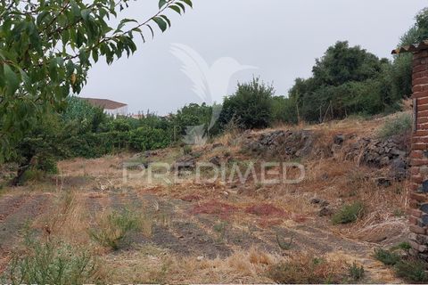 Erhvervsejendom i Beja, Beja, Beja - € 97.500 | Ref: 056568 - foto 22
