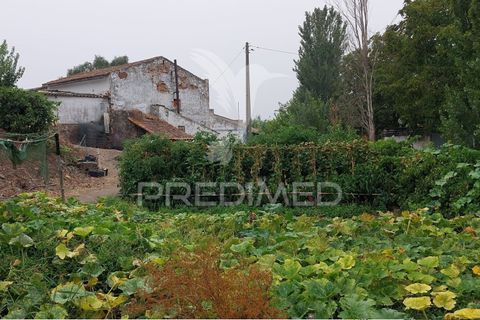 Erhvervsejendom i Beja, Beja, Beja - € 97.500 | Ref: 056568 - foto 23