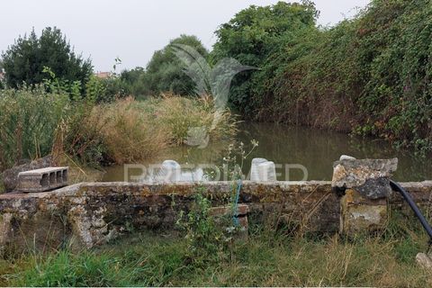 Erhvervsejendom i Beja, Beja, Beja - € 97.500 | Ref: 056568 - foto 25