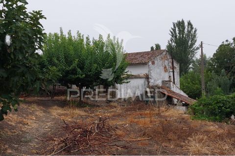 Erhvervsejendom i Beja, Beja, Beja - € 97.500 | Ref: 056568 - foto 26