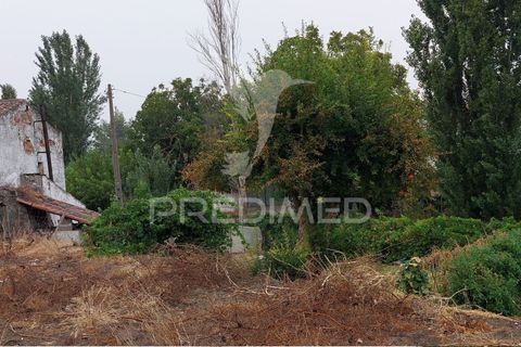 Erhvervsejendom i Beja, Beja, Beja - € 97.500 | Ref: 056568 - foto 27