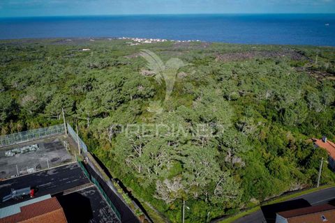 Helårsgrund i Sao Roque do Pico, Pico, Sao Roque do Pico - € 50.000 | Ref: 056574 - foto 1