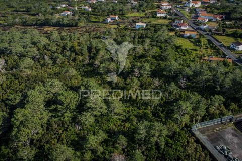 Helårsgrund i Sao Roque do Pico, Pico, Sao Roque do Pico - € 50.000 | Ref: 056574 - foto 4