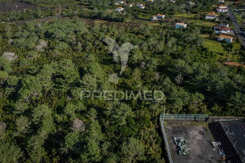 Helårsgrund i Sao Roque do Pico, Pico, Sao Roque do Pico - € 50.000 | Ref: 056574 - foto 5