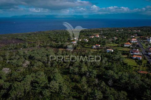 Helårsgrund i Sao Roque do Pico, Pico, Sao Roque do Pico - € 50.000 | Ref: 056574 - foto 6