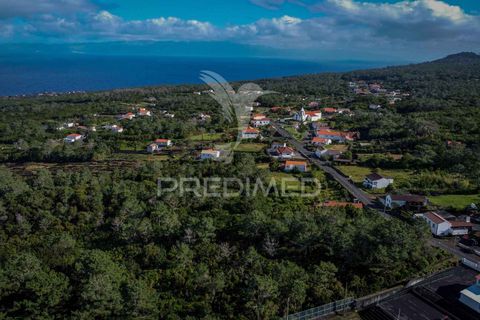 Helårsgrund i Sao Roque do Pico, Pico, Sao Roque do Pico - € 50.000 | Ref: 056574 - foto 7
