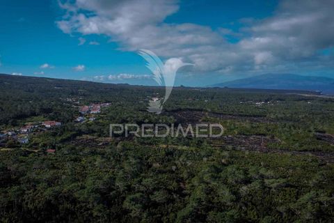 Helårsgrund i Sao Roque do Pico, Pico, Sao Roque do Pico - € 50.000 | Ref: 056574 - foto 8