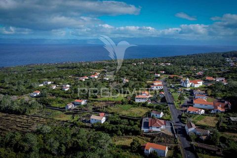 Helårsgrund i Sao Roque do Pico, Pico, Sao Roque do Pico - € 50.000 | Ref: 056574 - foto 9