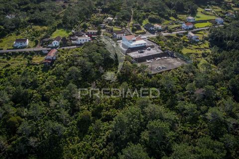 Helårsgrund i Sao Roque do Pico, Pico, Sao Roque do Pico - € 50.000 | Ref: 056574 - foto 11