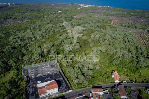 Helårsgrund i Sao Roque do Pico, Pico, Sao Roque do Pico - € 50.000 | Ref: 056574 - foto 12