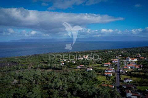 Helårsgrund i Sao Roque do Pico, Pico, Sao Roque do Pico - € 50.000 | Ref: 056574 - foto 14