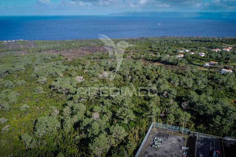 Helårsgrund i Sao Roque do Pico, Pico, Sao Roque do Pico - € 50.000 | Ref: 056574 - foto 15