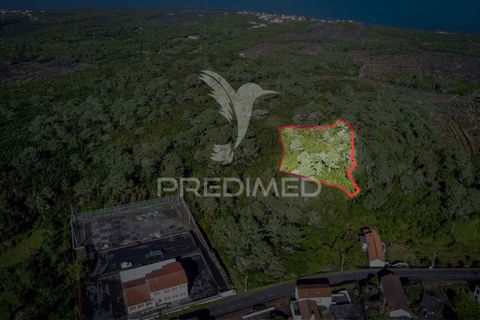 Helårsgrund i Sao Roque do Pico, Pico, Sao Roque do Pico - € 50.000 | Ref: 056574 - foto 16