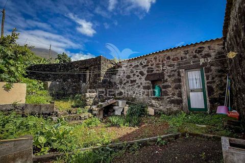Byhus i Madalena, Pico, Madalena - € 160.000 | Ref: 056764 - foto 9