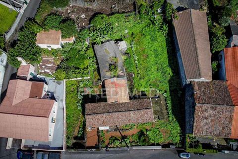 Byhus i Madalena, Pico, Madalena - € 160.000 | Ref: 056764 - foto 14