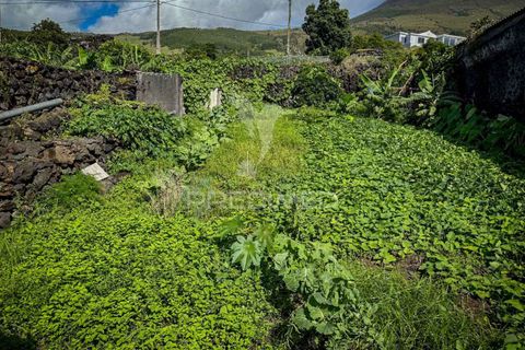 Byhus i Madalena, Pico, Madalena - € 160.000 | Ref: 056764 - foto 23