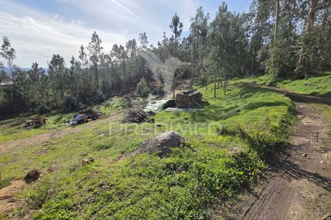 Helårsgrund i Leiria, Leiria, Leiria - € 59.000 | Ref: 056810 - foto 3