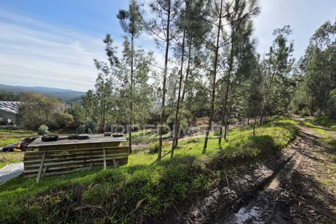 Helårsgrund i Leiria, Leiria, Leiria - € 59.000 | Ref: 056810 - foto 4