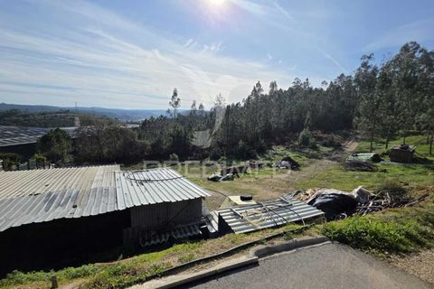 Helårsgrund i Leiria, Leiria, Leiria - € 59.000 | Ref: 056810 - foto 7