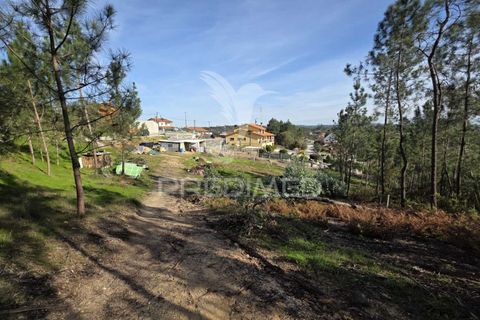 Helårsgrund i Leiria, Leiria, Leiria - € 59.000 | Ref: 056810 - foto 8