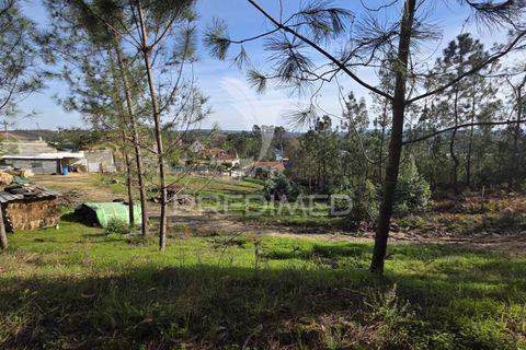 Helårsgrund i Leiria, Leiria, Leiria - € 59.000 | Ref: 056810 - foto 9