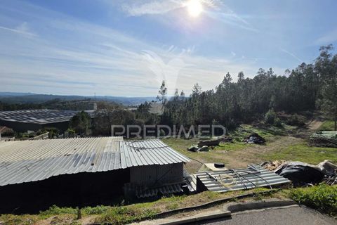Helårsgrund i Leiria, Leiria, Leiria - € 59.000 | Ref: 056810 - foto 10