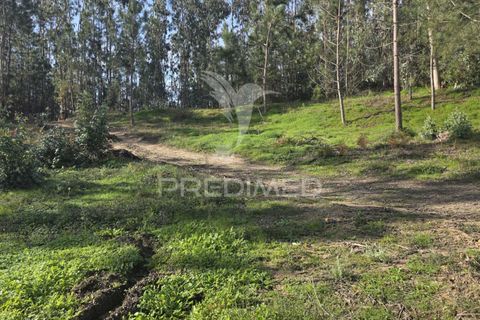Helårsgrund i Leiria, Leiria, Leiria - € 59.000 | Ref: 056810 - foto 11