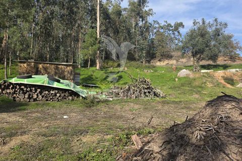 Helårsgrund i Leiria, Leiria, Leiria - € 59.000 | Ref: 056810 - foto 12