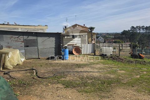 Helårsgrund i Leiria, Leiria, Leiria - € 59.000 | Ref: 056810 - foto 15