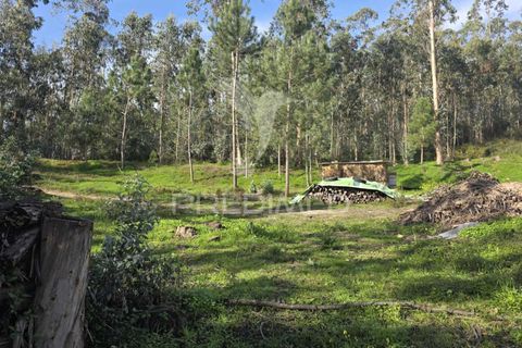 Helårsgrund i Leiria, Leiria, Leiria - € 59.000 | Ref: 056810 - foto 17