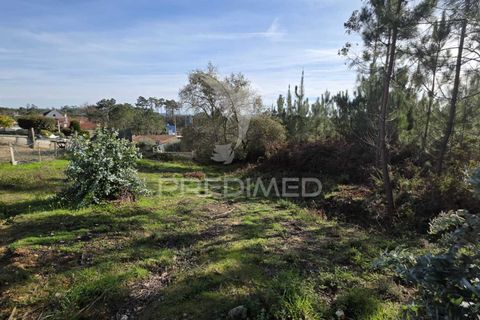 Helårsgrund i Leiria, Leiria, Leiria - € 59.000 | Ref: 056810 - foto 18