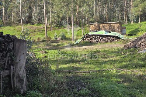 Helårsgrund i Leiria, Leiria, Leiria - € 59.000 | Ref: 056810 - foto 22