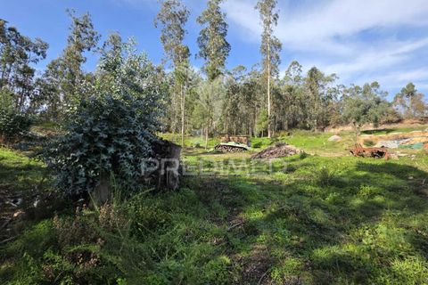 Helårsgrund i Leiria, Leiria, Leiria - € 59.000 | Ref: 056810 - foto 24